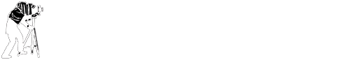 PRO OVE Video Foto Logo